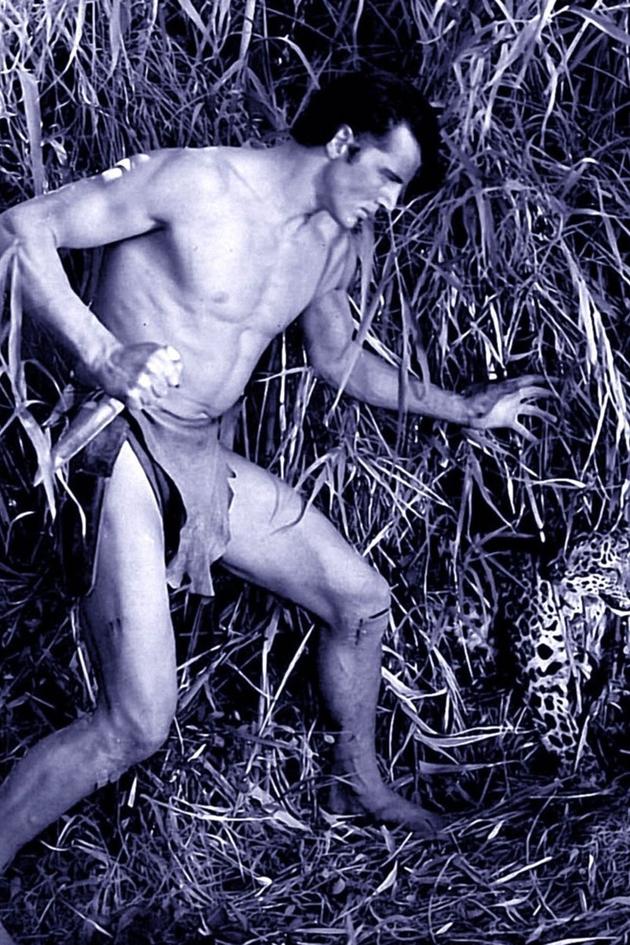 The New Adventures of Tarzan