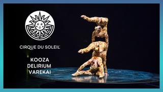 KOOZA, DELIRIUM & Varekai