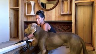 Living to DIY With Rachel Metz