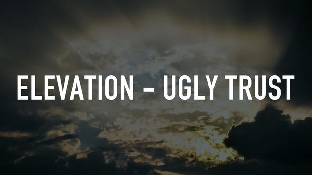Elevation - Ugly Trust