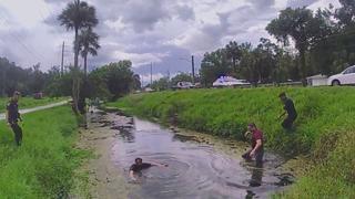 Catch of the Day