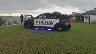 Sign, Sealed and Arrested