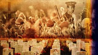 What Happened at the Somme