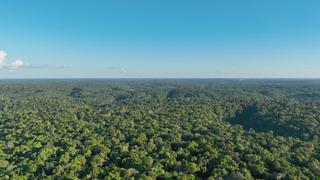 Secrets of the Amazon