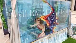 Victorian Vibes and Mermaid Dives Victorian Vibes and Mermaid Dives