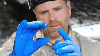 Finding World War II's Lost Prisoners