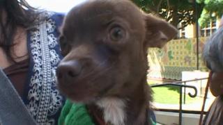 Los Angeles, CA Los Angeles, CA