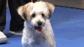 San Diego, CA San Diego, CA