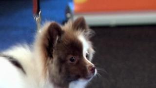 San Francisco, CA San Francisco, CA