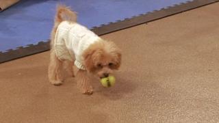 Atlanta, GA Atlanta, GA