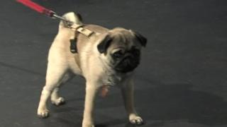 Boston, MA Boston, MA