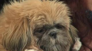 New York, NY New York, NY