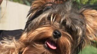 Grand Finale Grand Finale