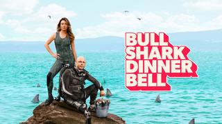 Bull Shark Dinner Bell
