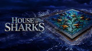  watch House of Sharks