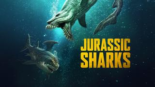 watch Jurassic Sharks