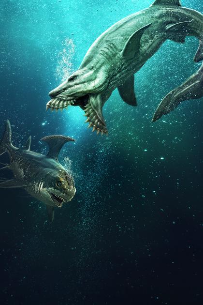 Jurassic Sharks
