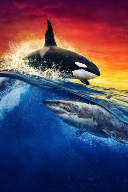 Jaws vs. Orca