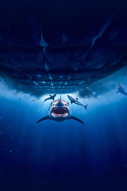 Chum Island: Catching a Killer