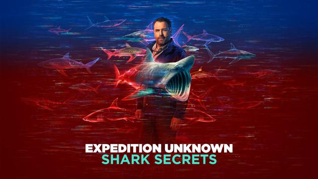 Expedition Unknown: Shark Secrets