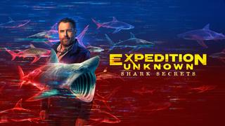 Expedition Unknown: Shark Secrets