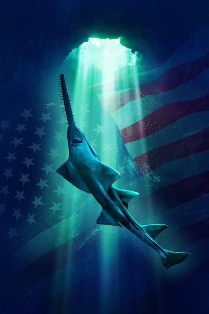 Alien Sharks: Untamed America