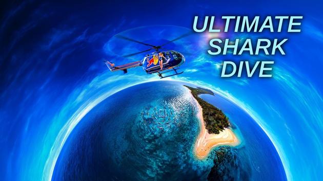 Ultimate Shark Dive