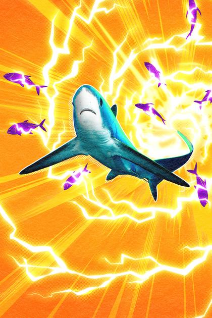 Thresher Shark: Stun to Kill