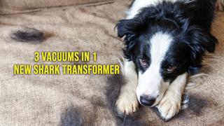  watch 3 Vacuums in 1! NEW Shark Transformer!