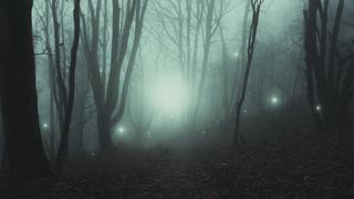 Unidentified Lights