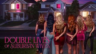  watch Double Lives of Suburban Wives