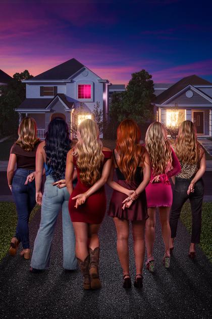 Double Lives of Suburban Wives