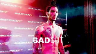  watch Bad Cut