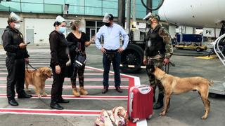 STOP! Border Control: Latin America