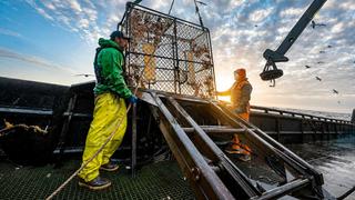 Deadliest Catch