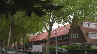 The Hilversum Gamble