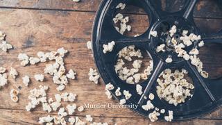 watch Murder University