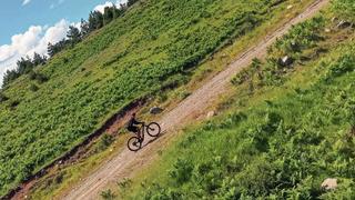 Legendary Triathlons, Professional Cycling, and Summer Games