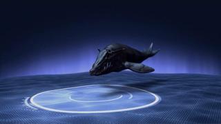 Sea Monsters Sea Monsters