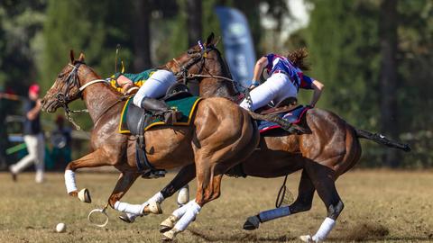 USPA Polo - Breakaway Polo in Europe
