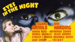 Eyes in the Night