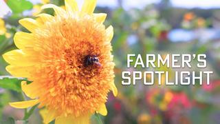 Farmer's Spotlight