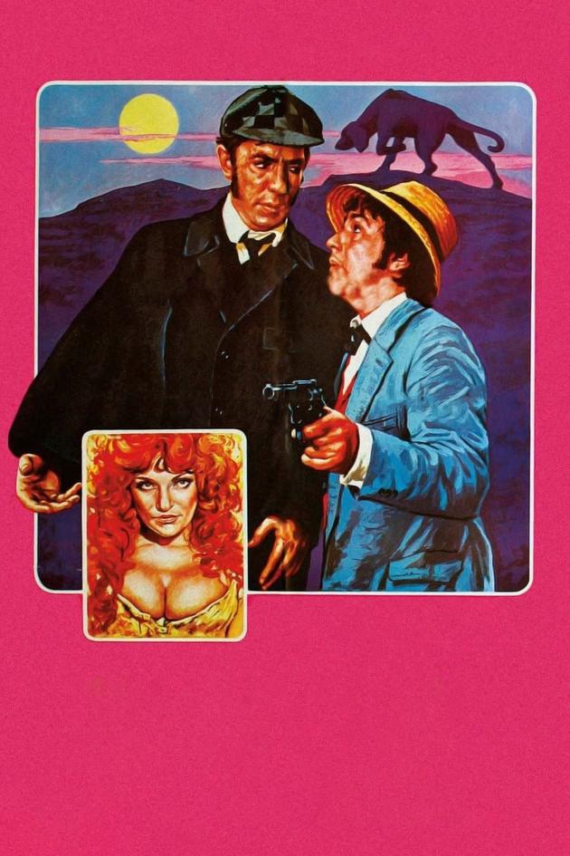 The Hound of the Baskervilles