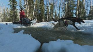 Wild North: Racing the Thaw Wild North: Racing the Thaw