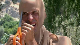 Bee Stung Brit Bee Stung Brit