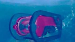 Virtual Sea Adventure