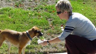 Robo Dog Sitter