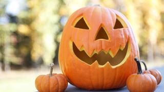 Trick or Treats Trick or Treats