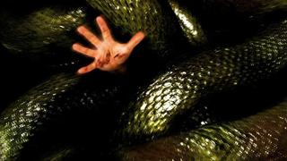 Anacondas: The Hunt for the Blood Orchid