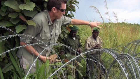 Ivory Tracker